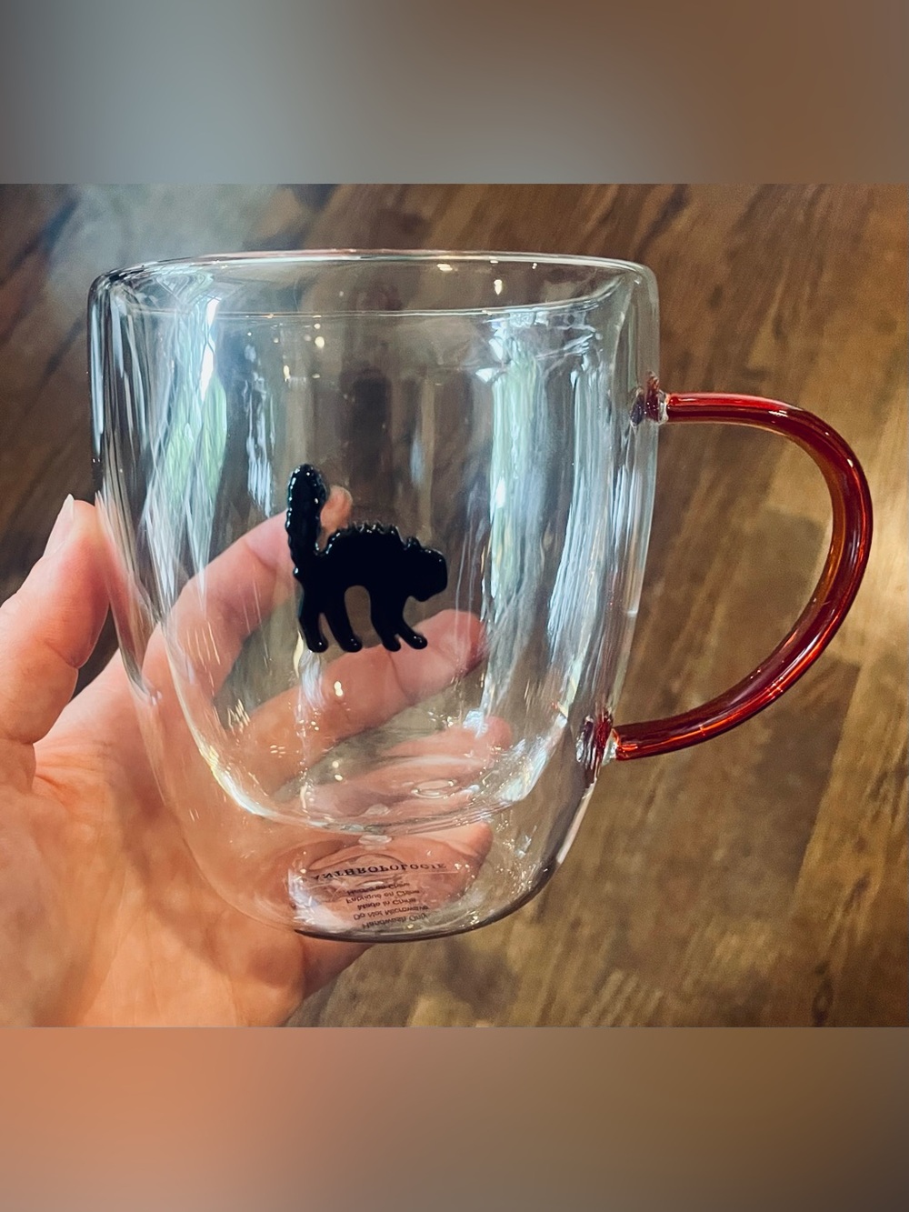 new Anthropologie Cat Black Icon Glass Mug